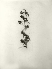 Alireza Ghadamyari, 17 x 23 Inch, Charcoal on Paper, Figurative Painting,  AC-ARG-009